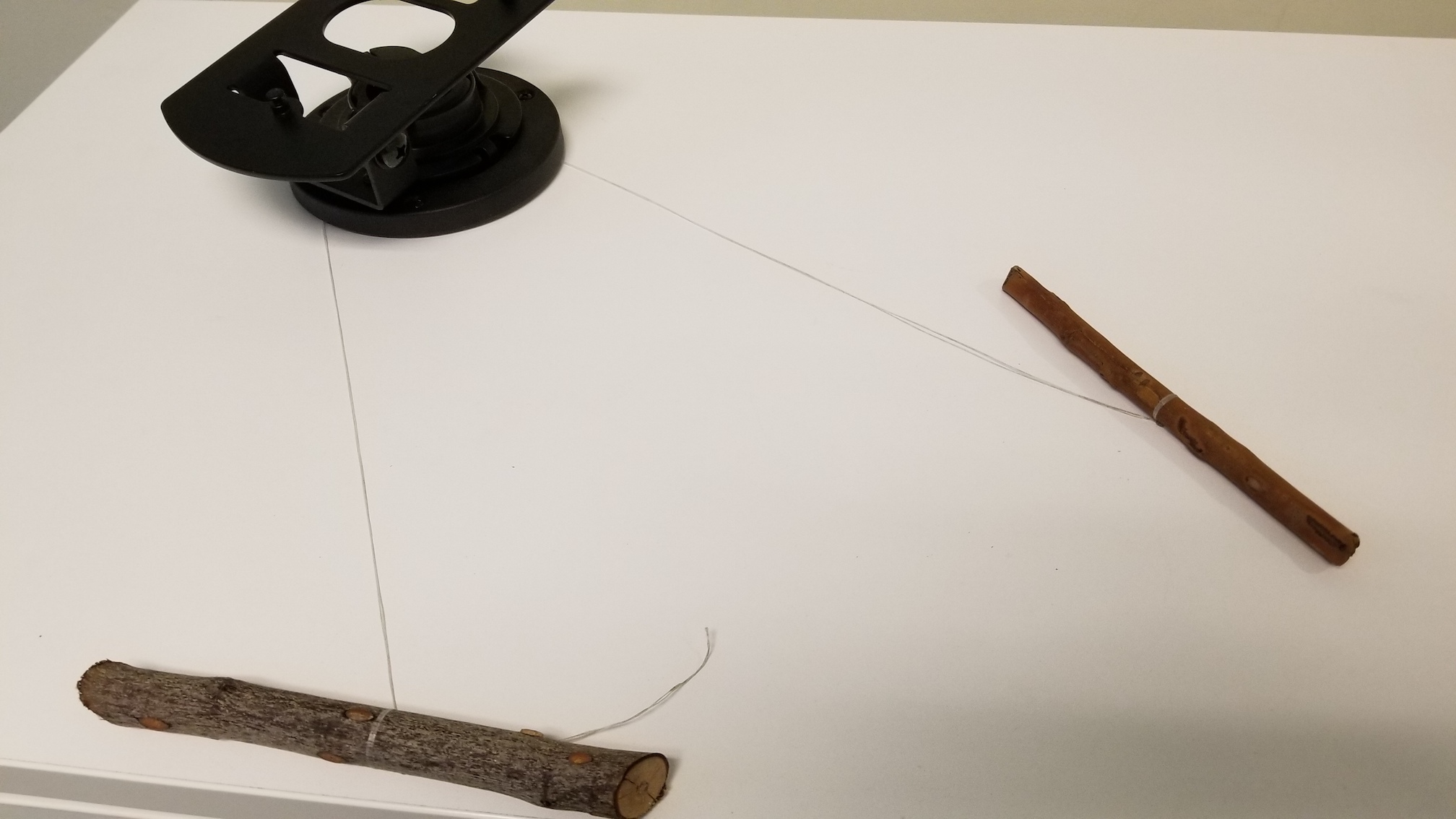 20190918_111418.jpg